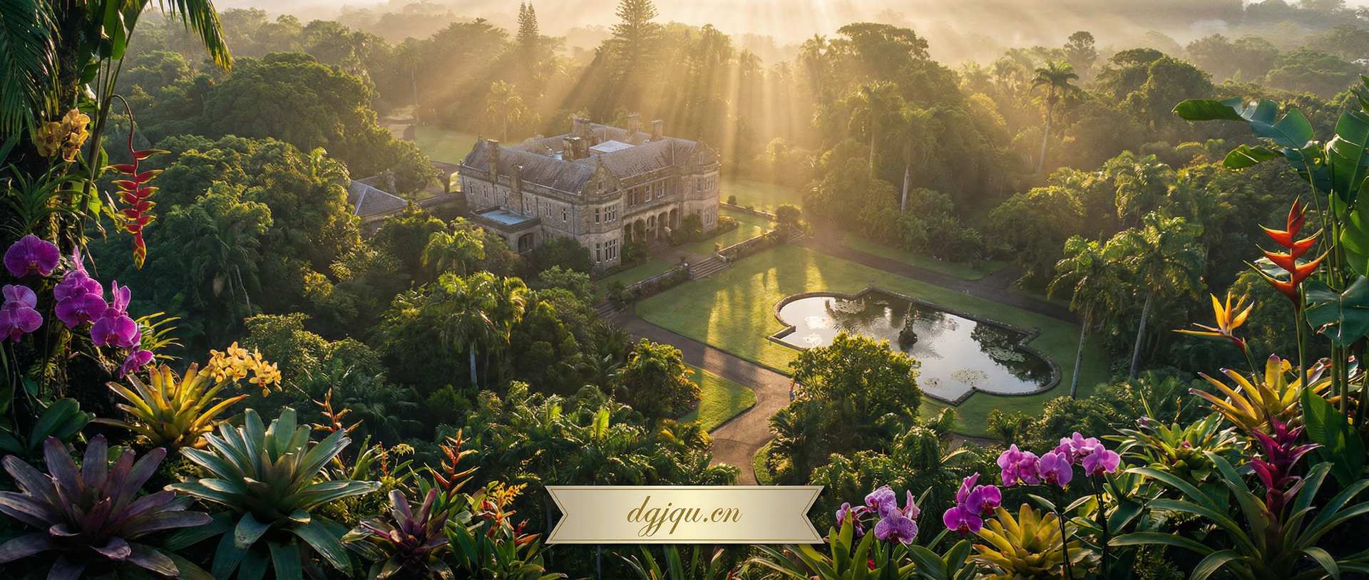 抖音风视频社区