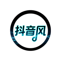抖音风