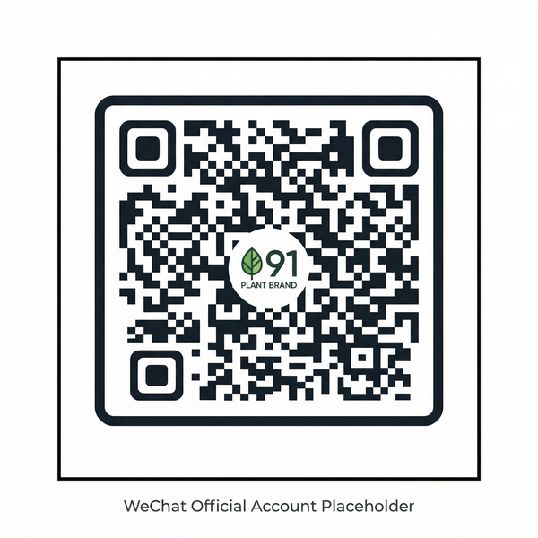 抖音风视频公众号二维码